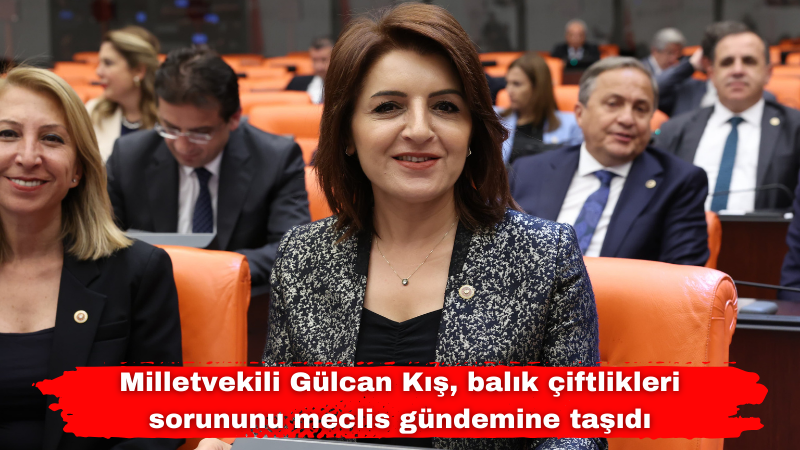 Milletvekili Gülcan Kış, balık çiftlikleri sorununu meclis gündemine taşıdı