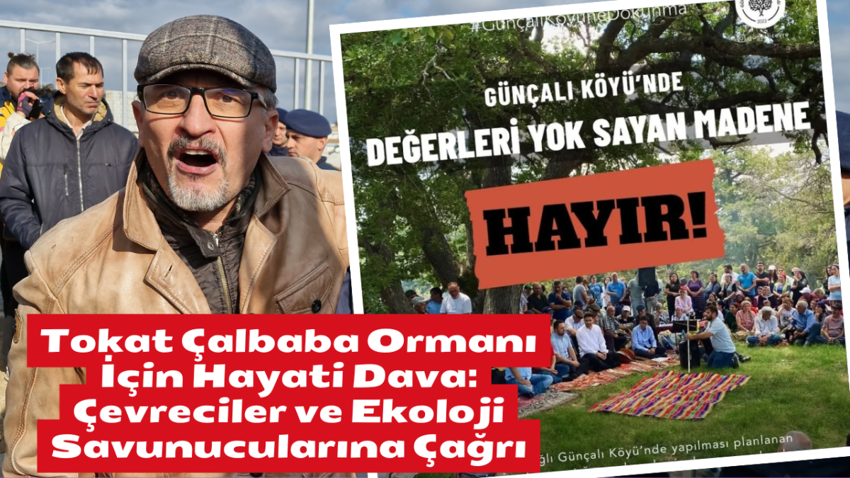 Tokat Çalbaba Ormanı İçin Hayati Dava: Çevreciler ve Ekoloji Savunucularına Çağrı